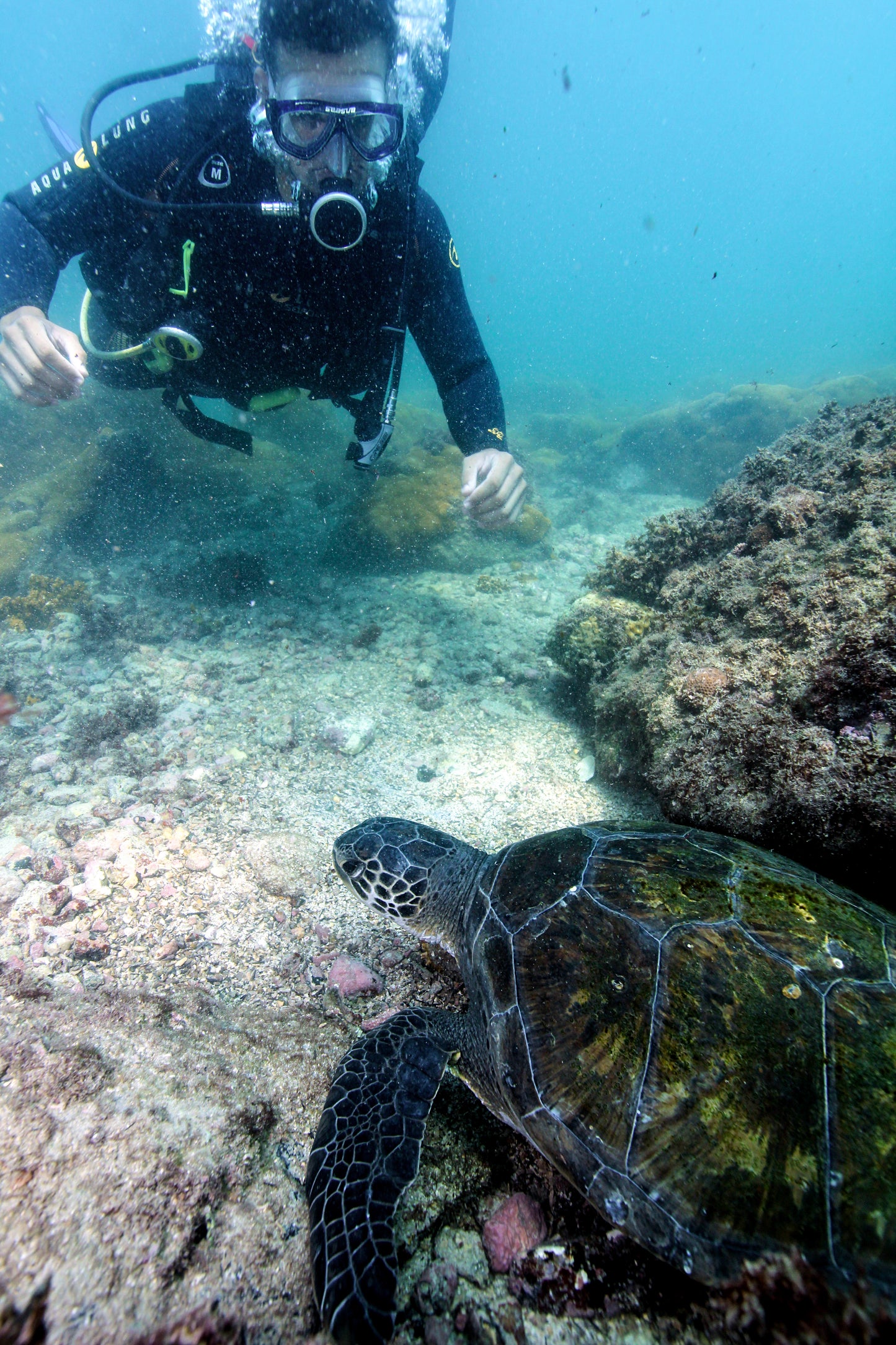 Arraial do Cabo (Mergulho + Praias)
